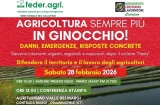 "Agricoltura sempre più in ginocchio!". Domani, sabato 28, sopralluoghi e conferenza stampa dei Feder.Agri. e MCL Calatino